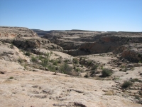 The Trail into Lower Butler Wash